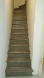 SCALE_ (5)