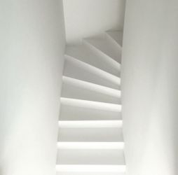 SCALE_ (7)